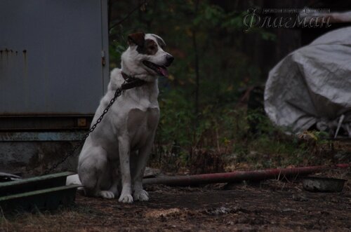 IMGP1139_r